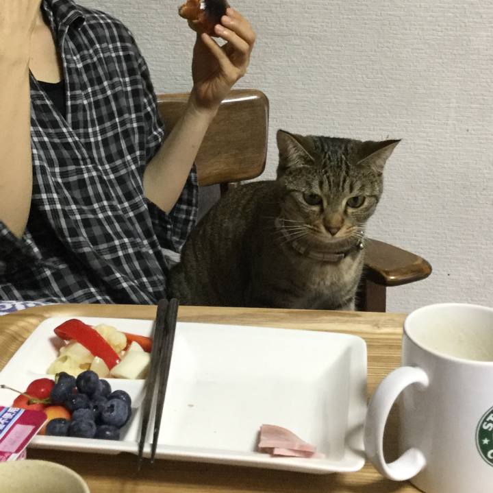 Fb273c34 9684 4ddf a3c7 5480aa3ab257