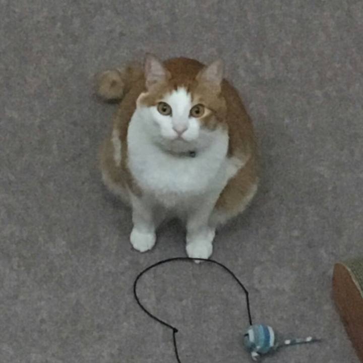 Fb273d11 5e71 48e2 a2bc f6878004e70c