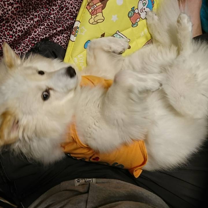 Fb2804ab b629 42c3 a645 3777f9062c83