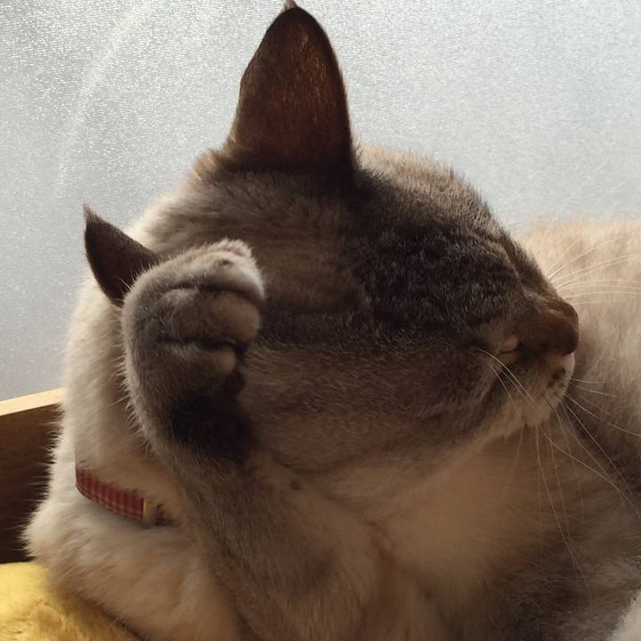 Fb28a5aa 4aa9 4dd0 9a35 2c2a033db3b6