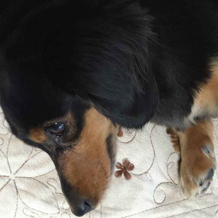 Fb28bd08 16ca 4817 88fa 2d0c7c8e82bb