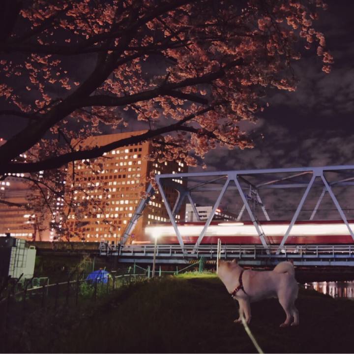 Fb28fb59 ad8e 483f 8ea8 dba1442b83cf