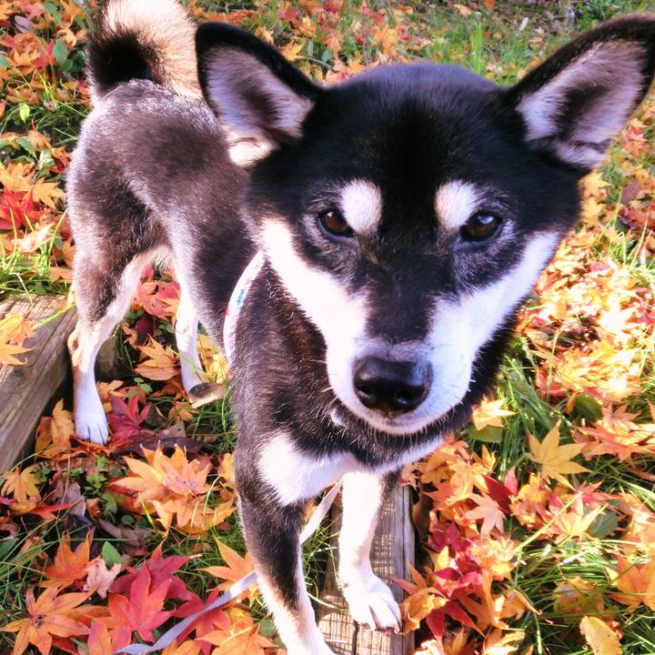 Fb2a759c 54cd 47d6 a4ed dfdd8d4ededc