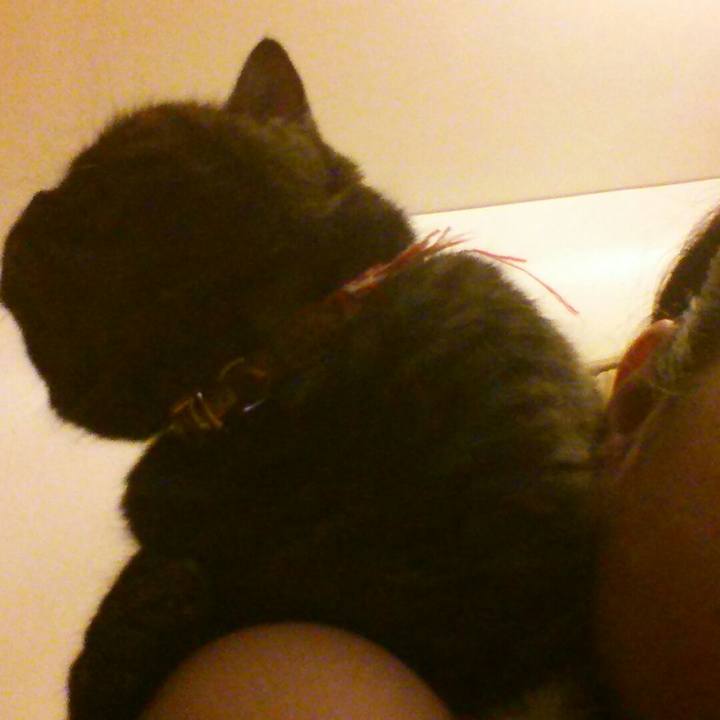 Fb2a95d7 62b0 4cdb 983c 7d661e011e7b