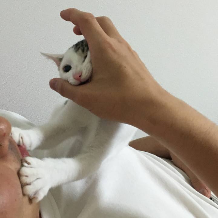 Fb2aac33 17f3 4651 8472 387fafdd8e7e