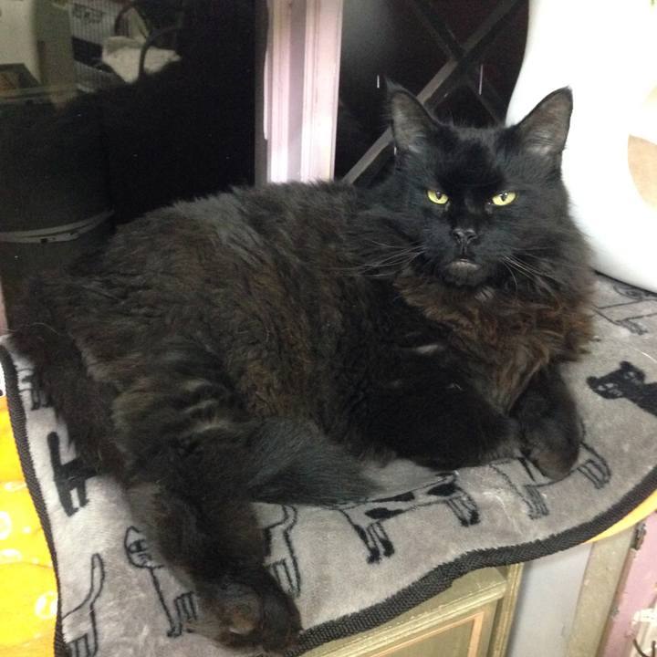 Fb2b7a31 cc05 45ce 88d5 72aa3a5e0061