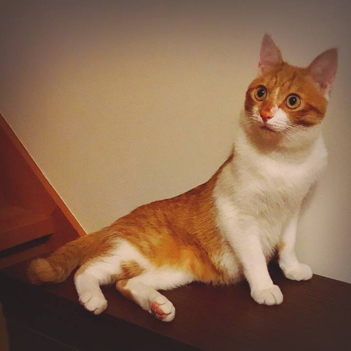 Fb2c209b facb 4b06 8d30 d44ff0c5dae7