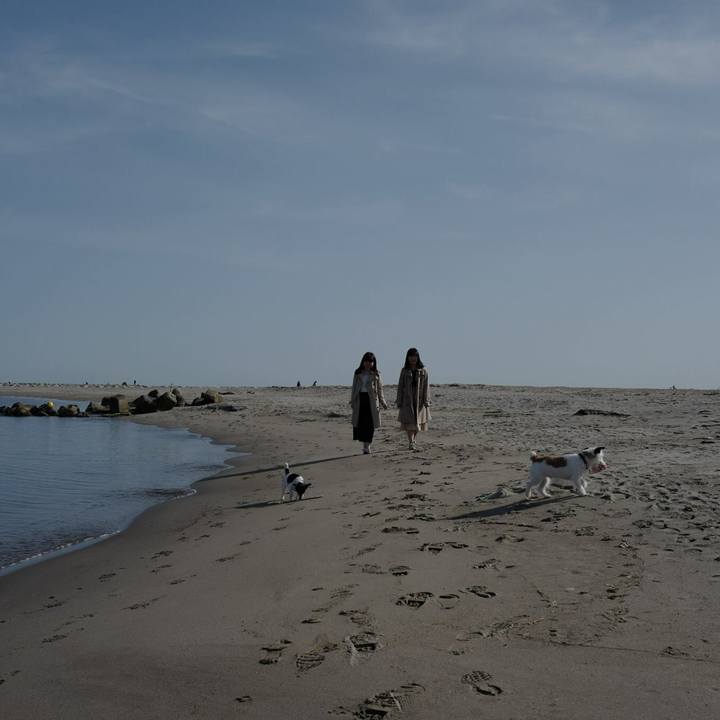 Fb2c24a5 2315 46e0 b396 2b31bd8d6747