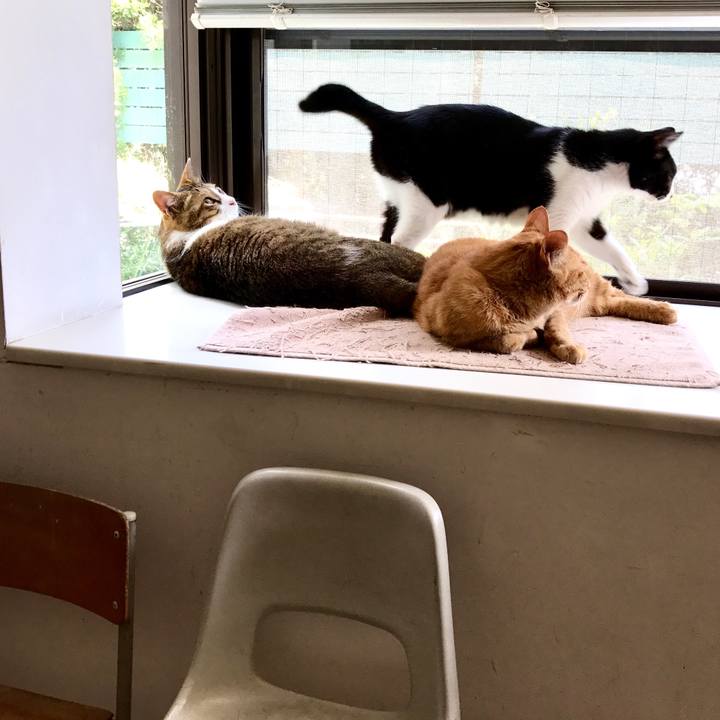 Fb2c6b4f d612 40ad 9107 11ece38c2385