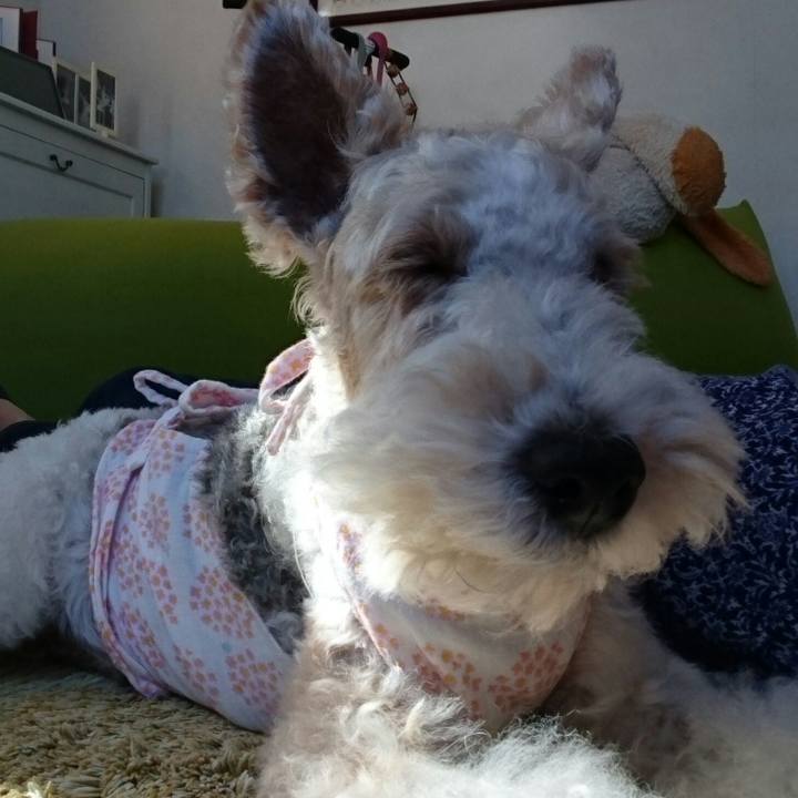 Fb2d1cb5 751f 4fc7 94b0 5c60a060fad4