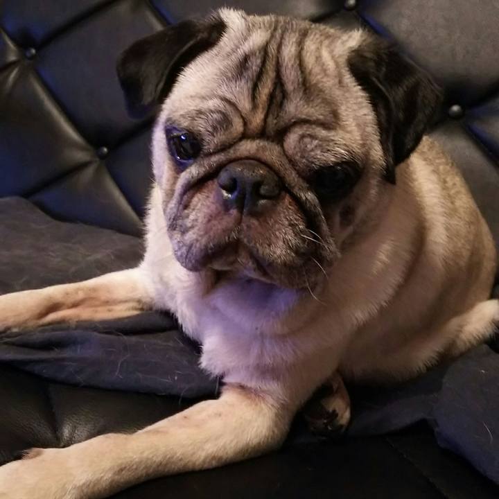 Fb2d457f 93f2 4225 96a2 5c4a820d86cf