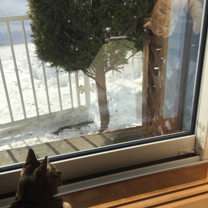 Fb2da0fb 7f12 4078 8403 5fa80060c109