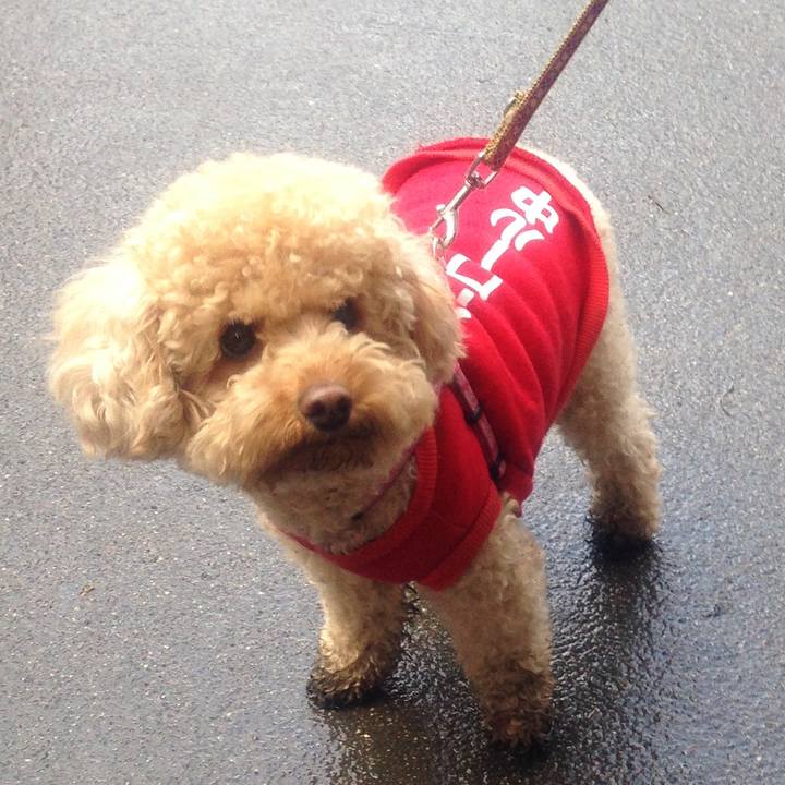 Fb2dd62e ee15 425c 905c e1d48425fbc1