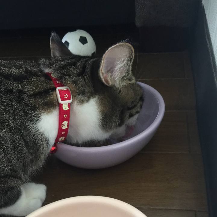 Fb2e0349 afd3 499e bee8 1a035519f1a5