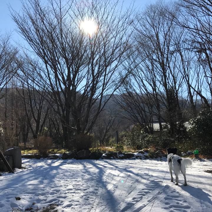 Fb2e1b9a 0568 40b4 9dfa c03b79290163