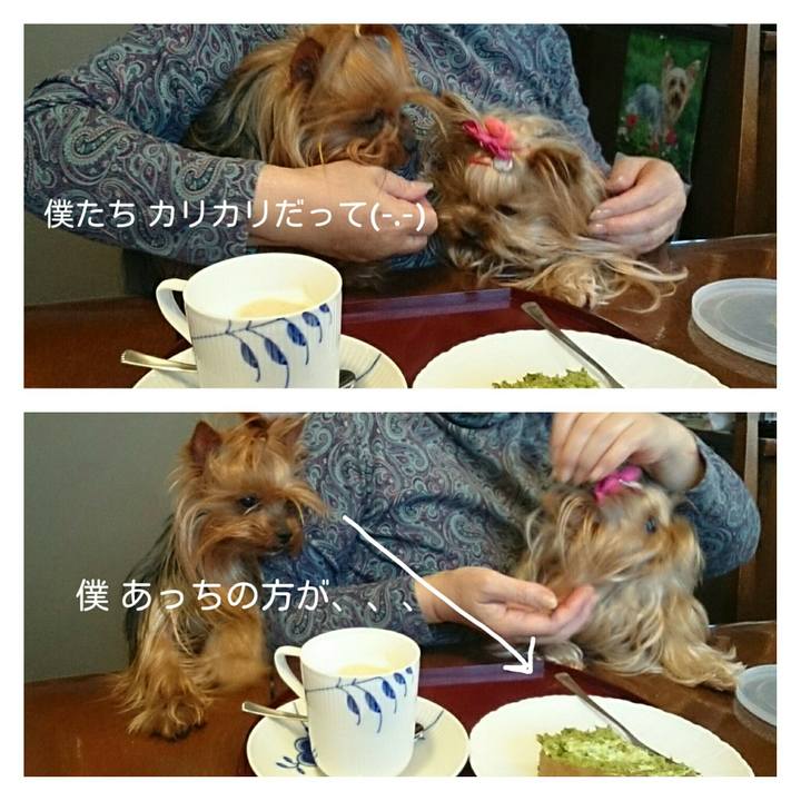 Fb2efb8e b727 4071 a270 b73ef12463a2