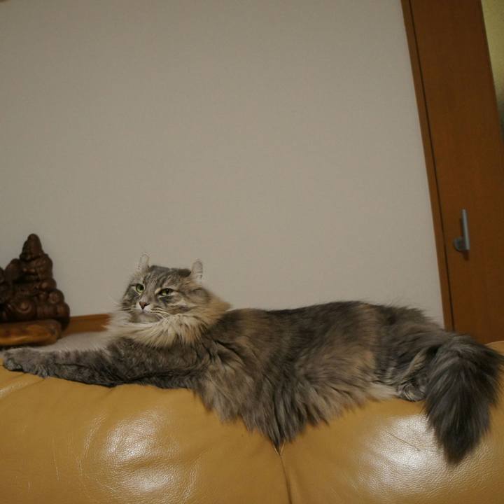 Fb2f0411 99b0 456b 9708 eba4616ff40b