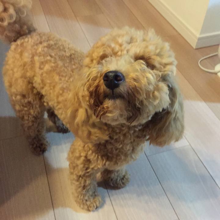 Fb2fc7d9 5710 40cf 903d 12a49a3cd66e