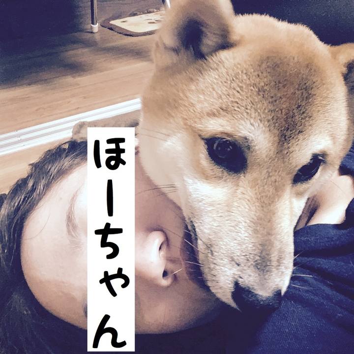 Fb3014e4 7454 46da 9a22 2df4bab29b74