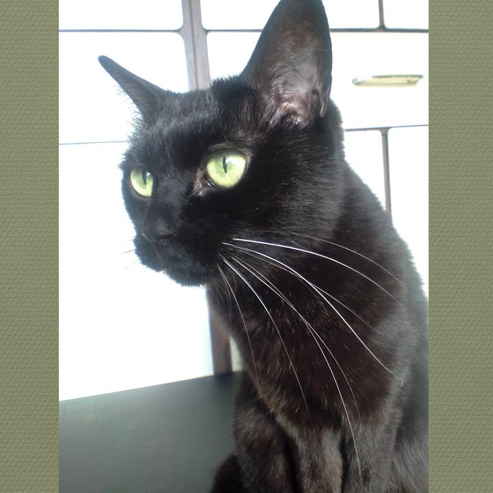 Fb30190a 7041 474c 8da1 951f9b2e4c37