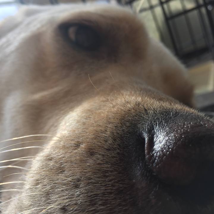 Fb30c723 9069 4caf 993a c8c0085d4641