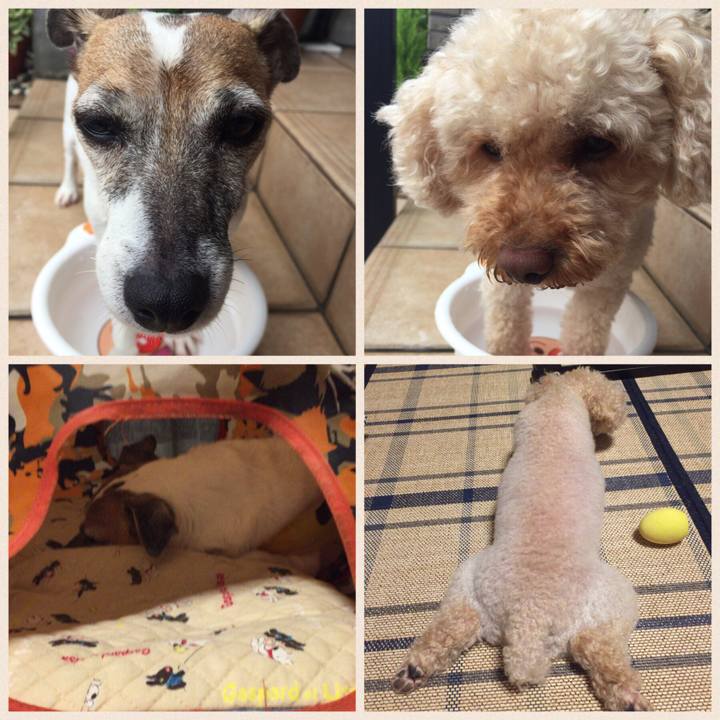 Fb312505 73a9 446d be7d 37b432f04afa