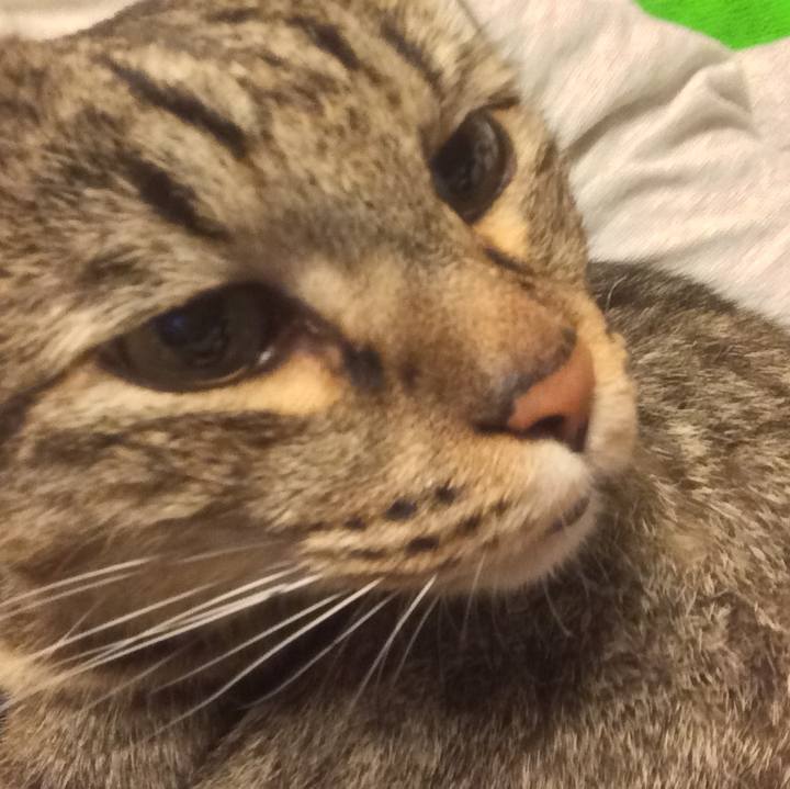 Fb315604 969c 4c73 84a7 6d46a7a78f45