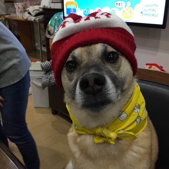 Fb3171f3 7f0f 493a 8133 f15d3f1a7ed8