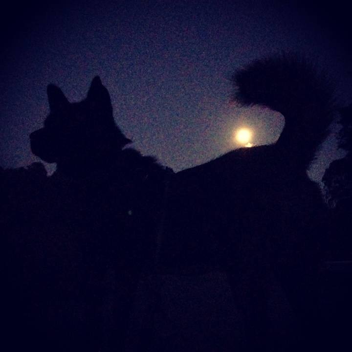 Fb318a67 7aff 482e a690 4866dddbabd4