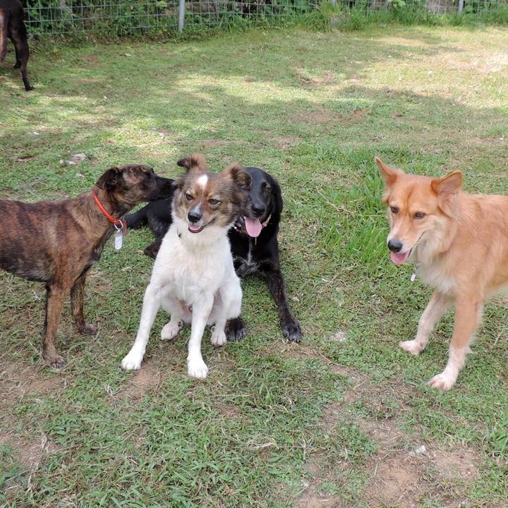 Fb3204c8 120a 4ff1 be9d 7233157922ab