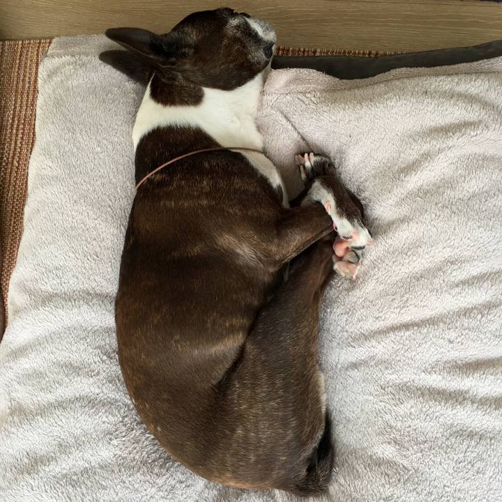 Fb327906 aeee 4bbc 8f27 09a280966969