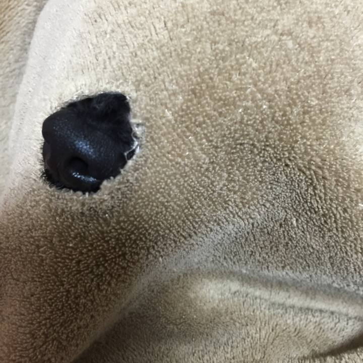 Fb333848 50b0 413c 9f58 adf587d7136a