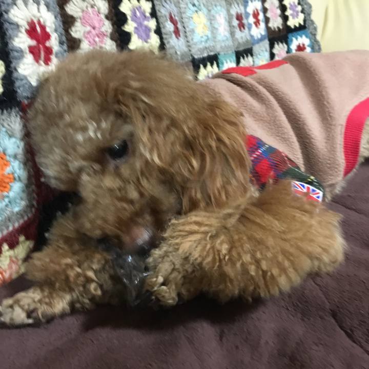 Fb333c40 bae6 4ea6 8f88 52991ac0f68c