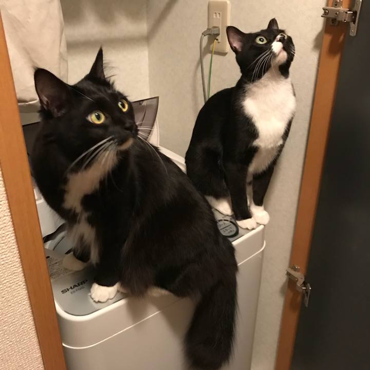 Fb3345ef 8ccb 4558 a8b5 85a79906324b