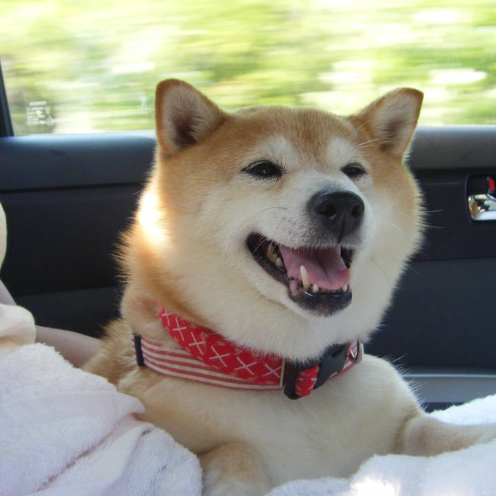 Fb335ef4 df29 4147 b7aa dd149f07b13e