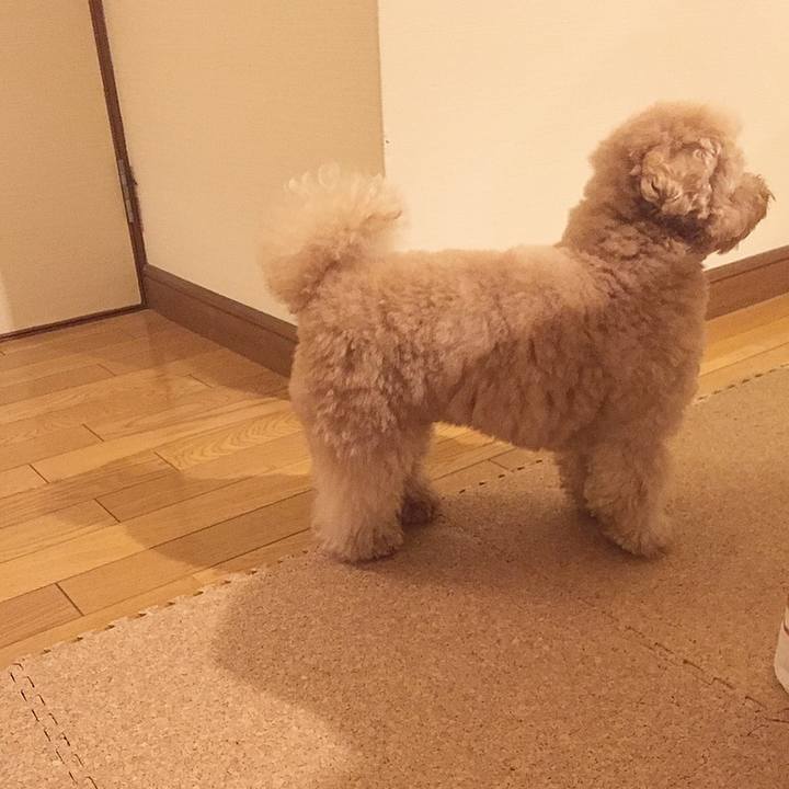 Fb33a071 be37 41b3 be70 ba4299ae8bec