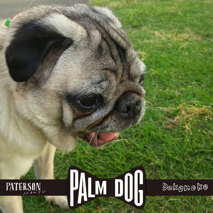 Fb33efab e532 403a 9fe9 190461ccbfaa