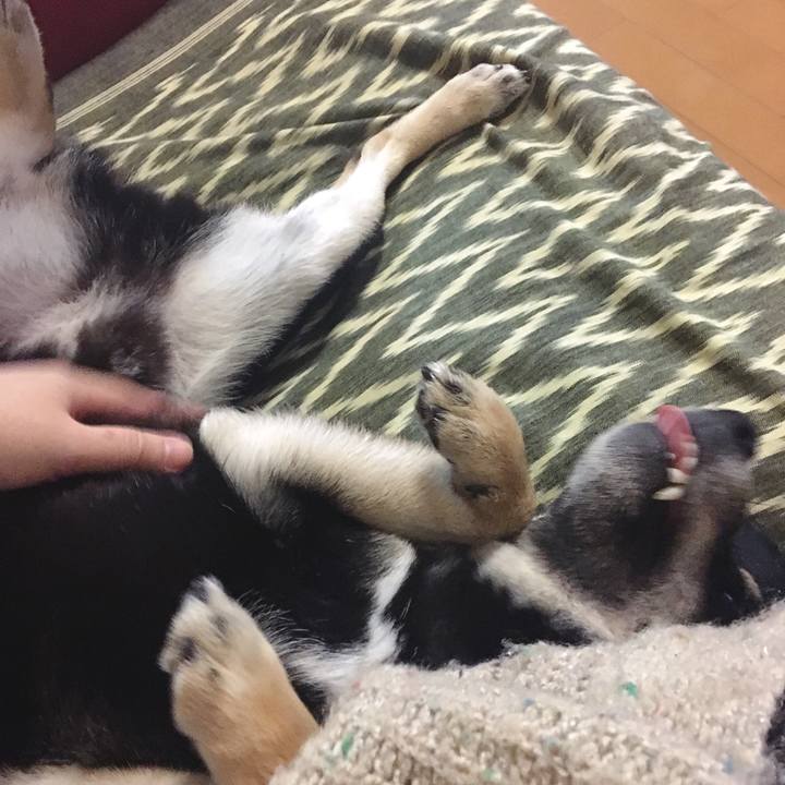 Fb346e94 cf45 4ba3 b01f b17263ab625b