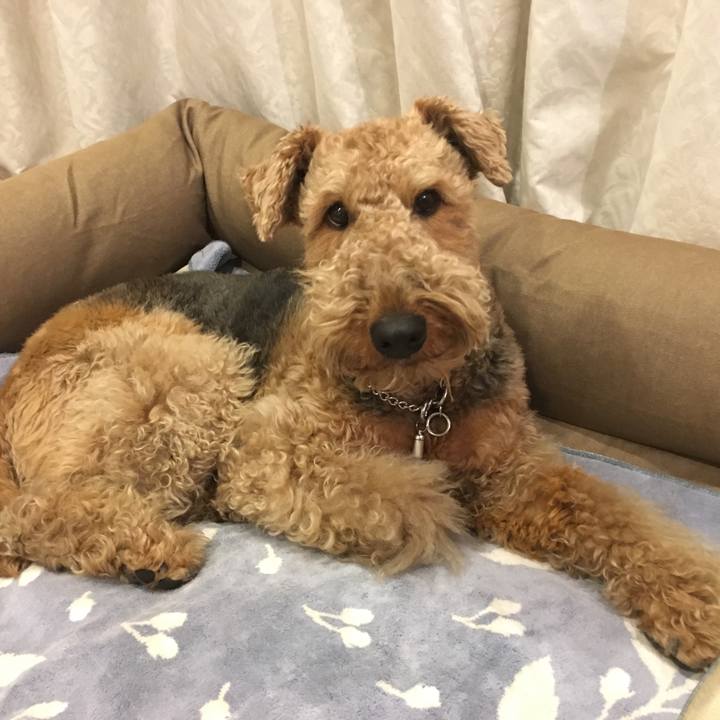 Fb34719d b087 4e1e 9569 3e53016703cf