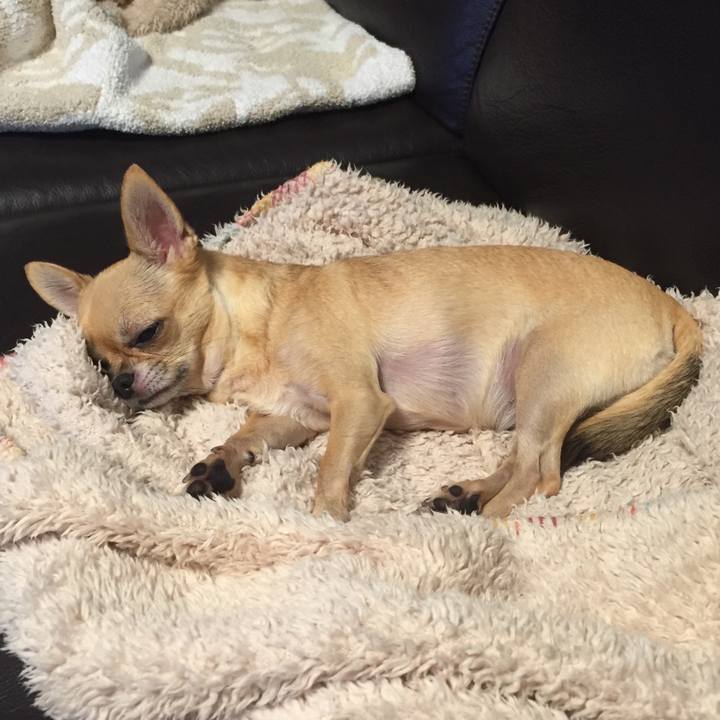 Fb3471dd a15b 45e1 8187 b153bee23e2f