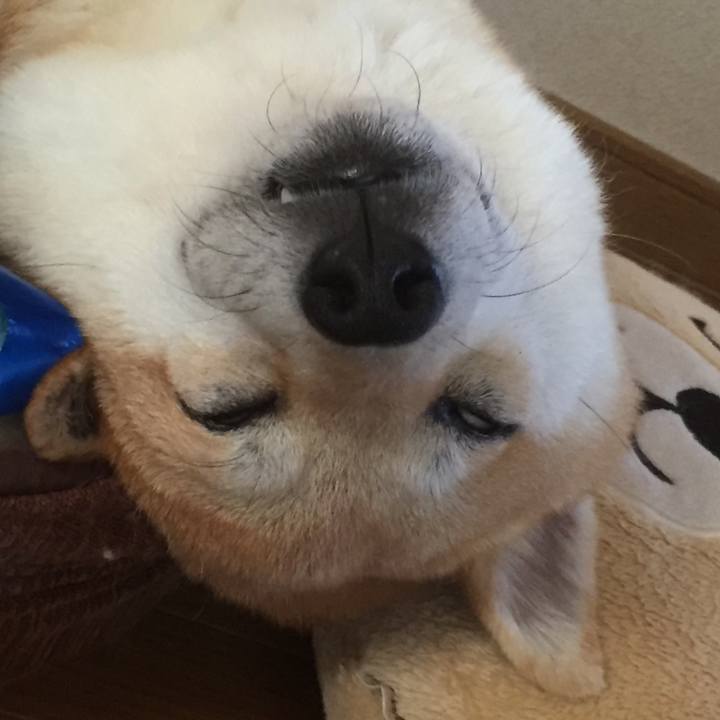 Fb348a6d 64ff 4ecc a65b a20fc4efef2c