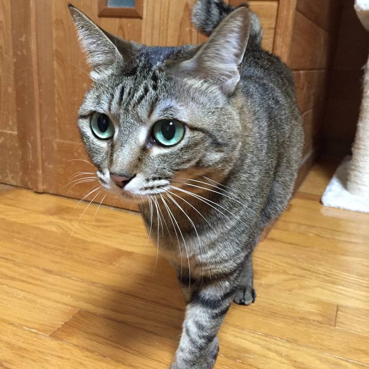 Fb34c5e9 51cf 433b a492 cf03bd9261ce