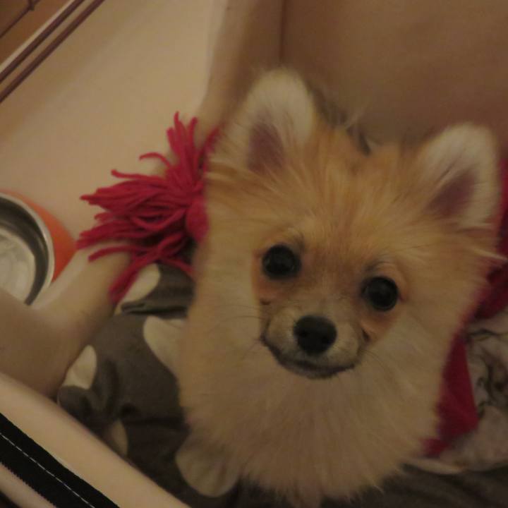 Fb351268 8cf9 43b1 92cd fd69c840dd62