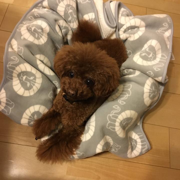 Fb35210a 7dbf 4a42 a8d6 044c70a6e6c3