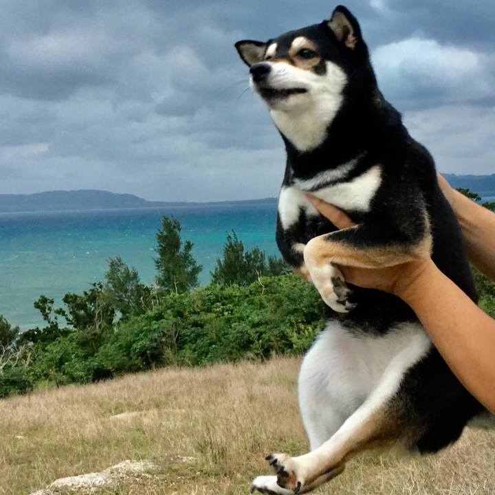 Fb35335d 5582 448c a444 9a41a27a6a2a