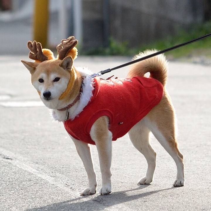 Fb357032 cfc6 4bc9 b693 ef427dabbe5a