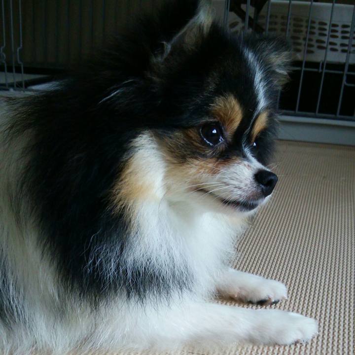 Fb3665ad e03f 453d 88d9 60bdd311a720