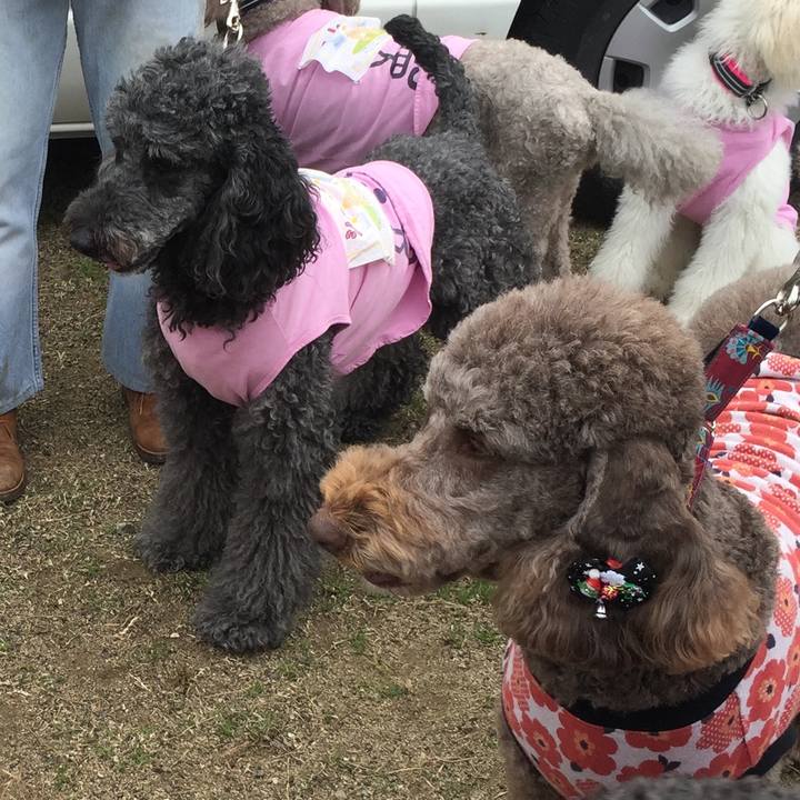 Fb36a718 38c8 48c8 982a 087a4261ec54