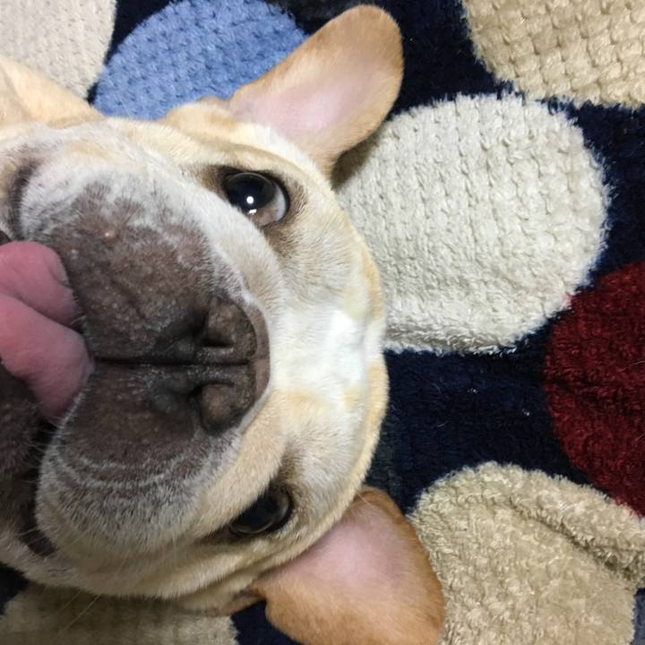 Fb36f16a 9871 469a 9b37 f08478f6b170