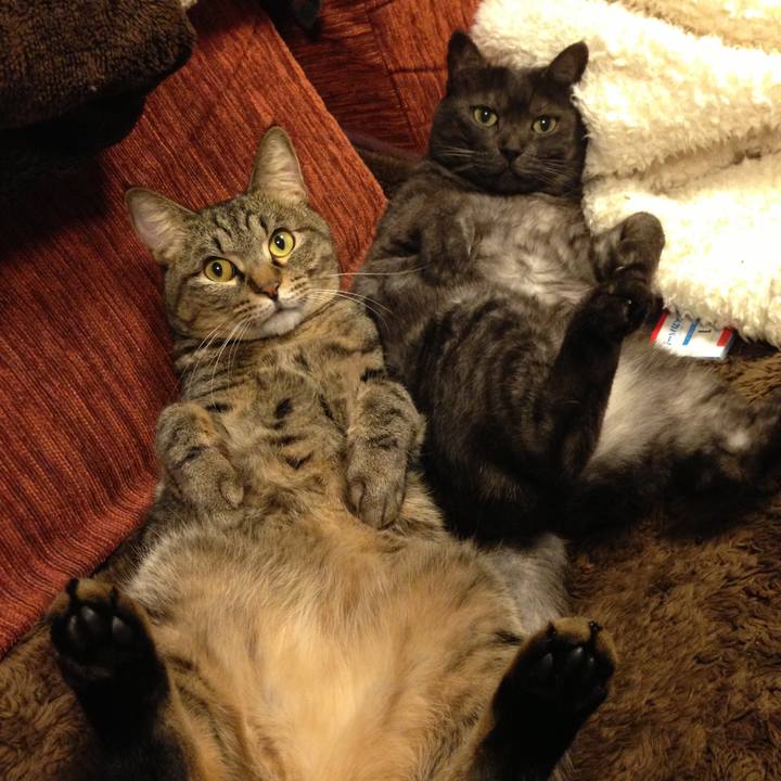 Fb372530 45f5 477e 8f4c 33e4ff815069